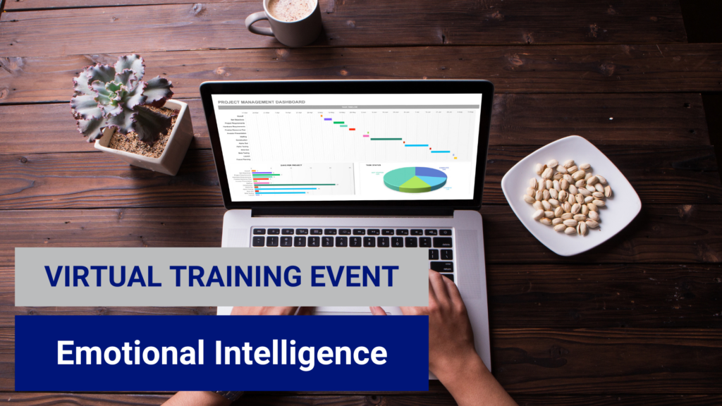 Virtual Training Emotional Intelligence Triad Goodwill