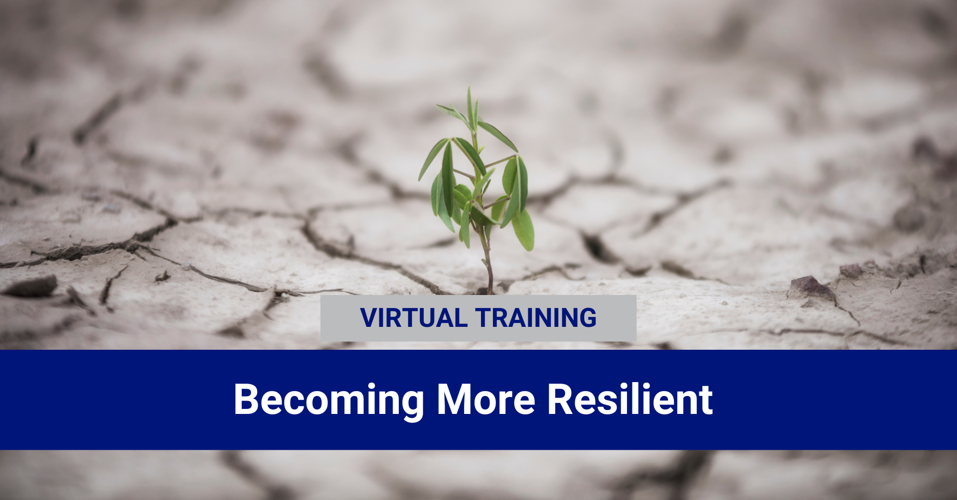Becoming More Resilient