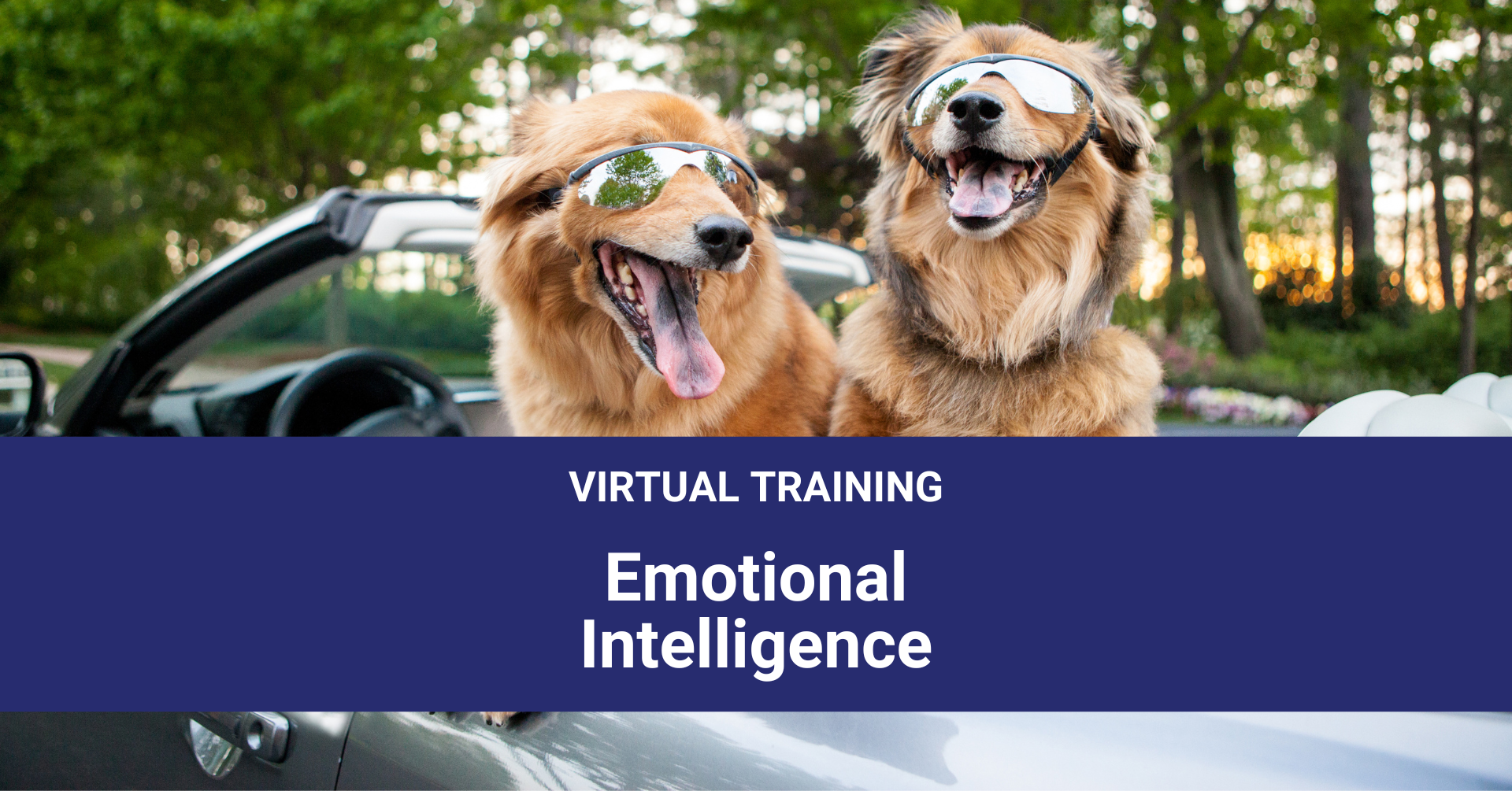 Emotional Intelligence