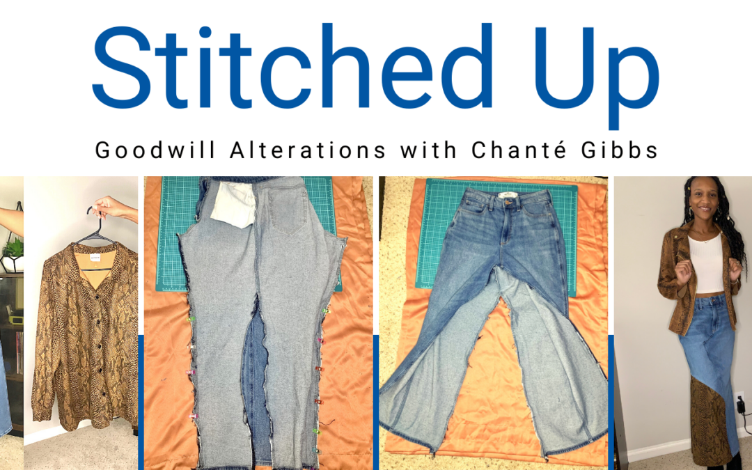 Stitched Up Jan 2024 DIY Snakeskin & Denim
