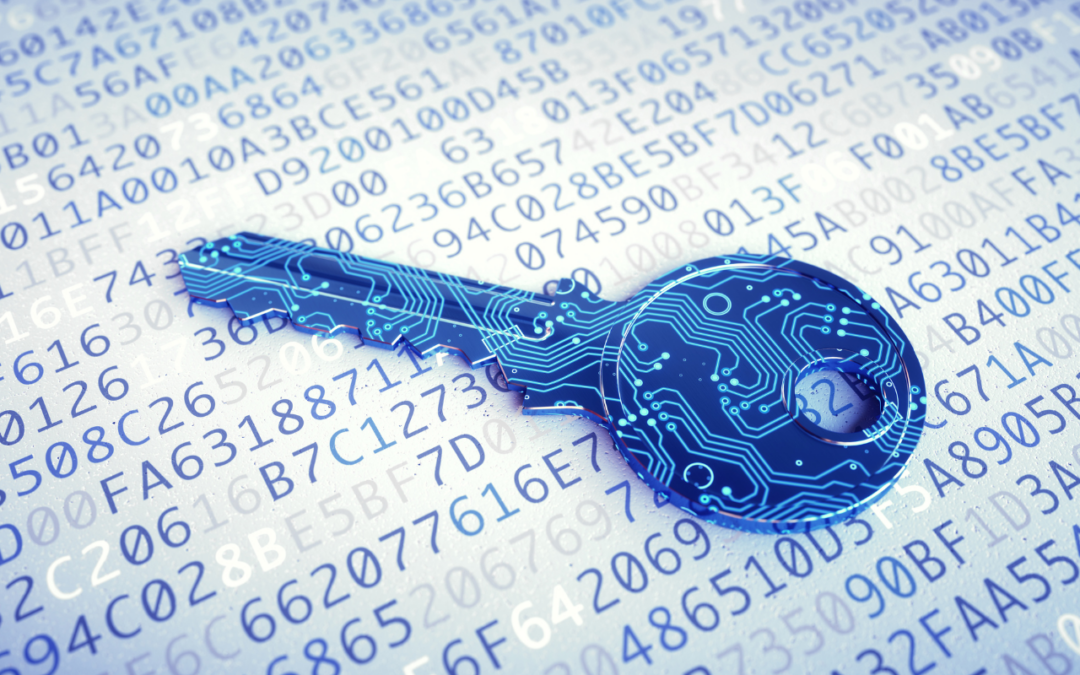 Navigating the Digital Job Market Staying Safe Online