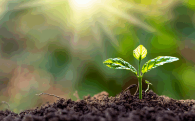 Growing Your Career: The Power of Learning Something New