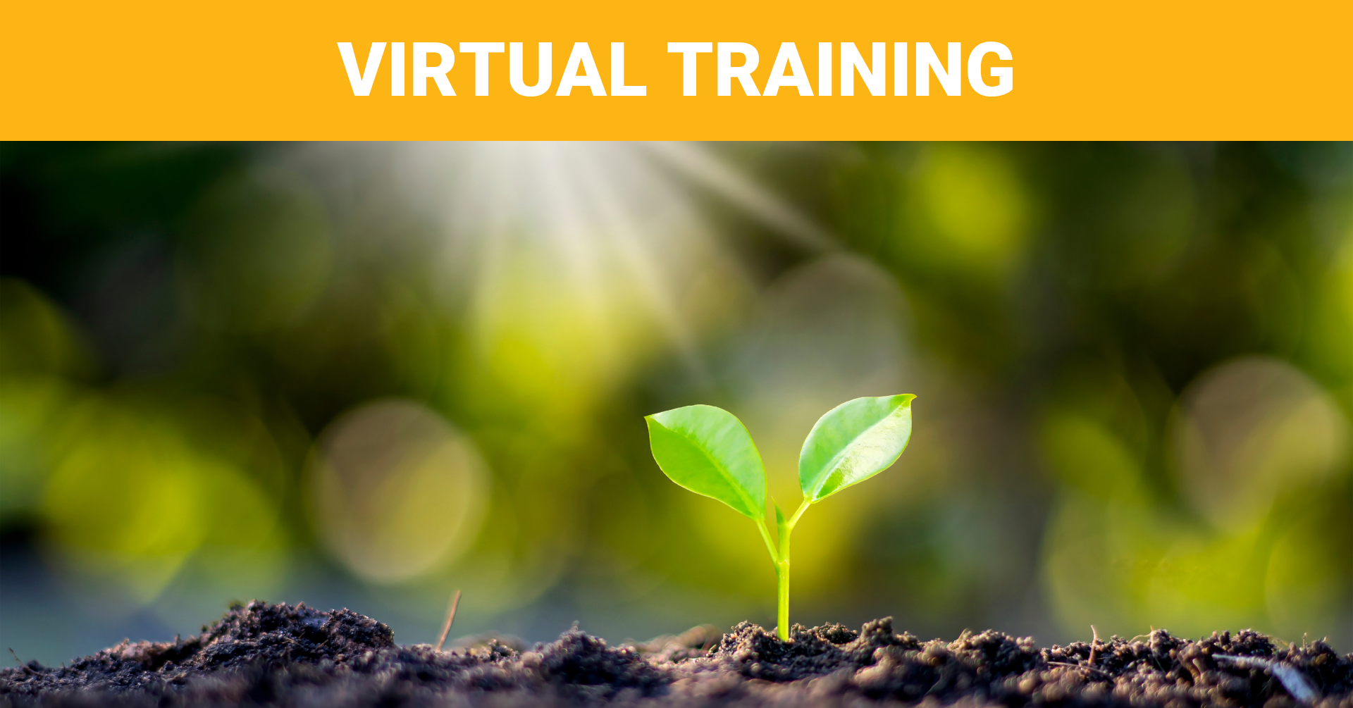 Unlocking Potential The Power of a Growth Mindset