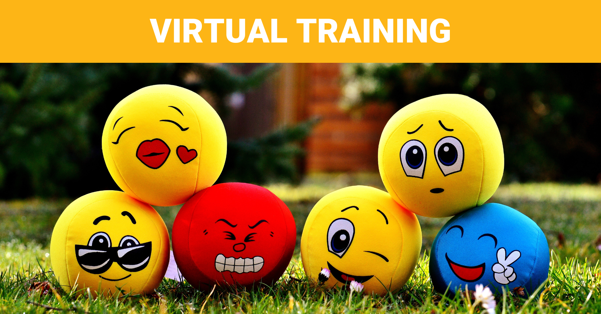 Emotional Intelligence Understand Yourself and Others